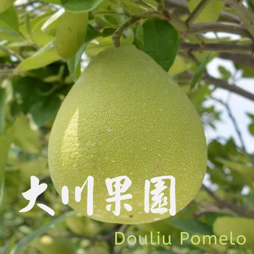 image_20260627072801-1