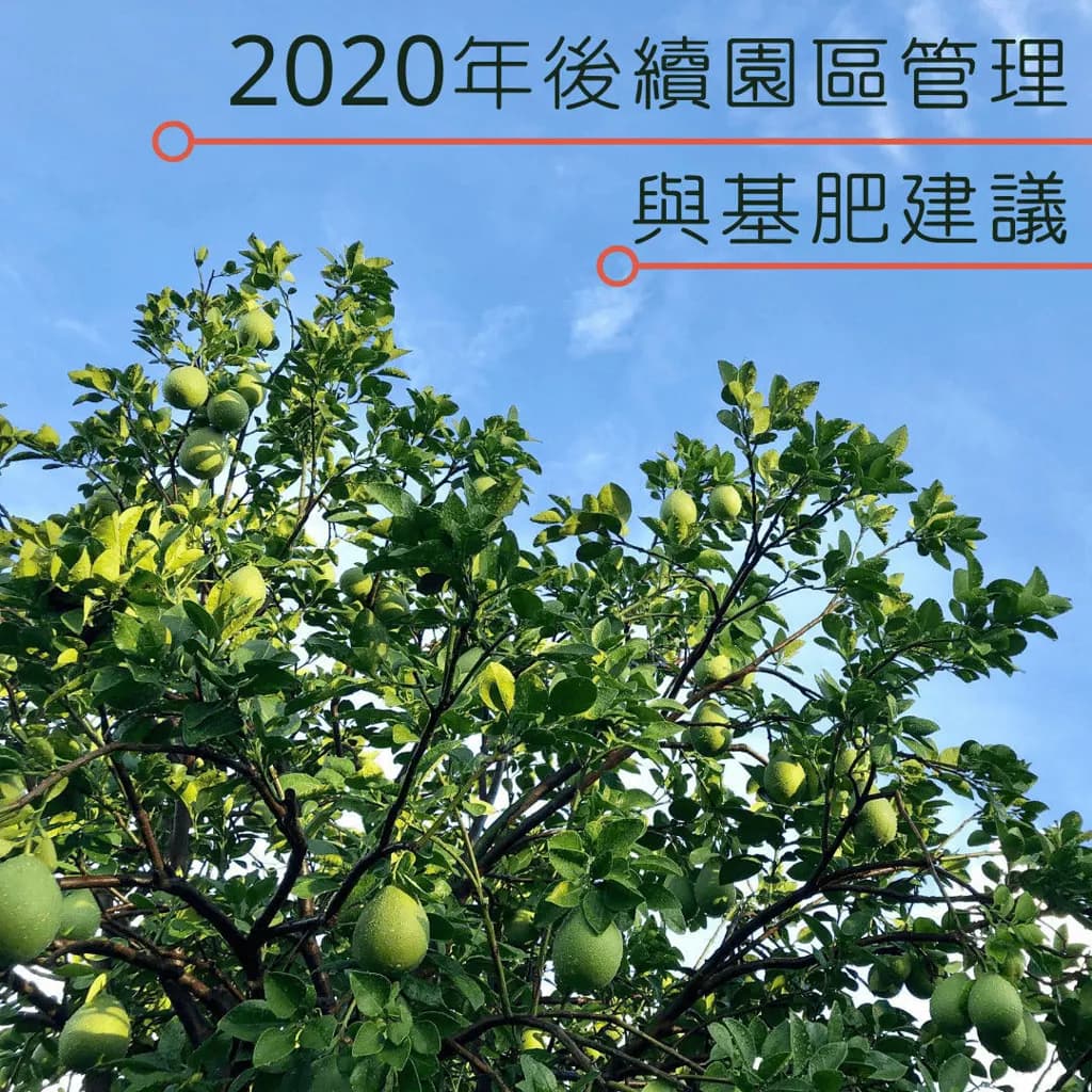 image_20260627072747-1