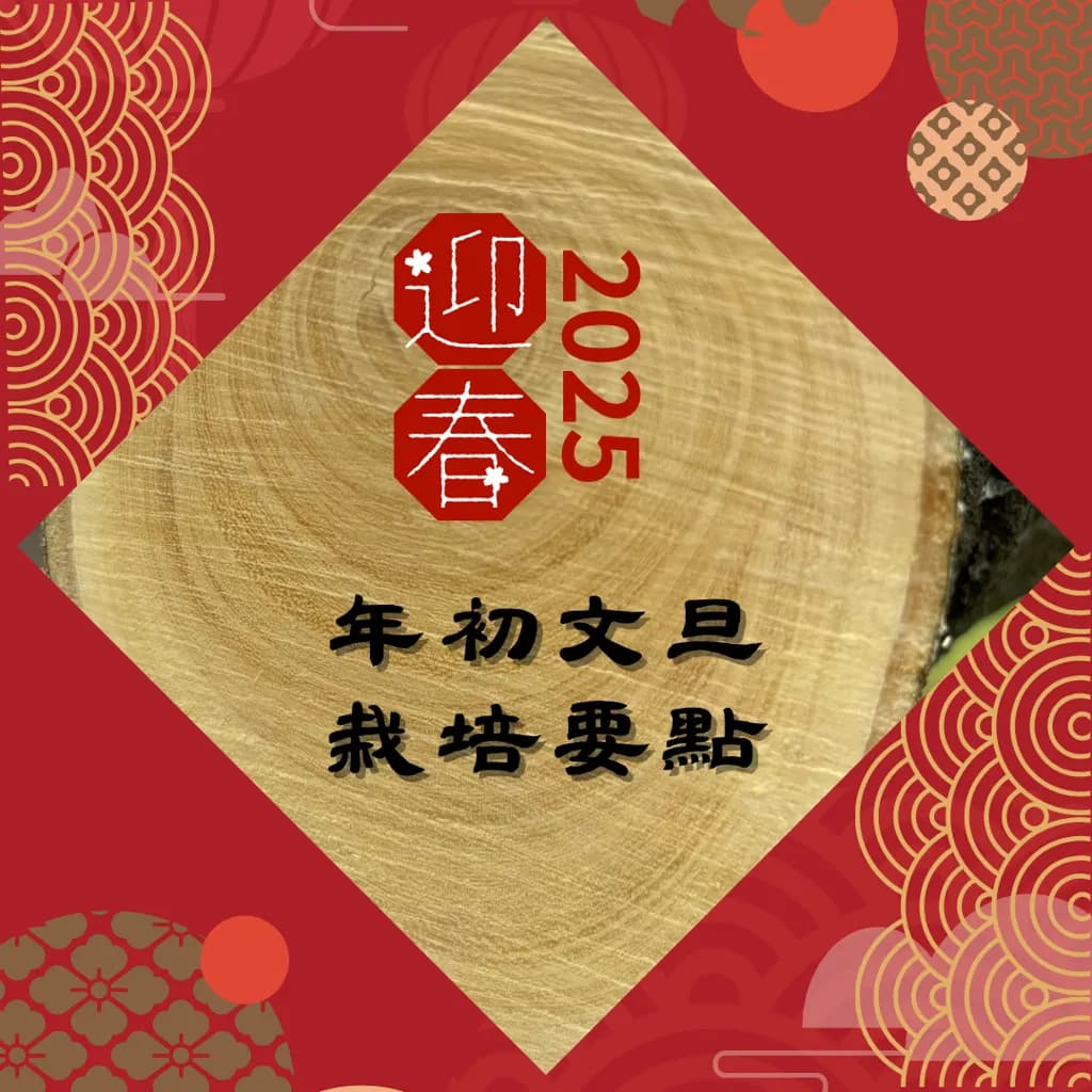 image_20260627072754-1