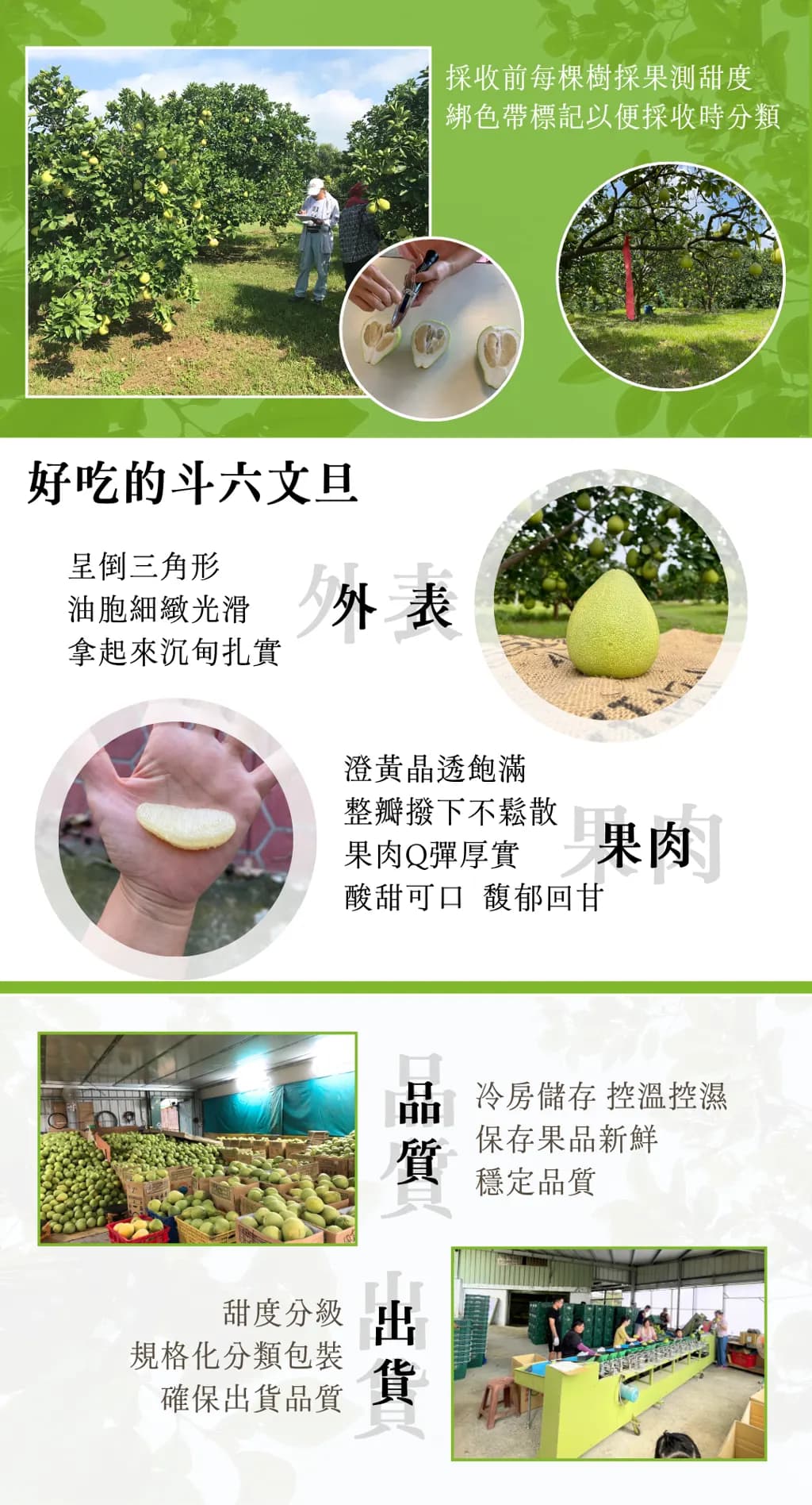 image_20260627073043-1