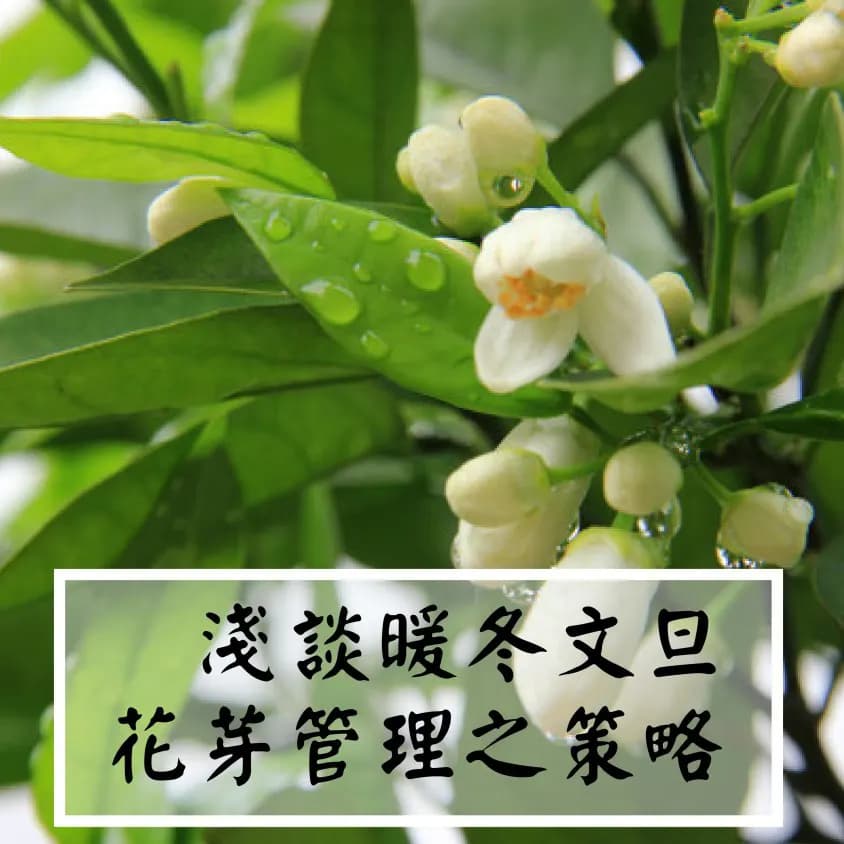 image_20260627072745-1