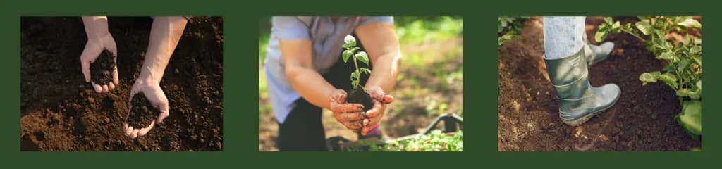 農滎有限公司  從土地出發，陪伴每一位農友找到適合自己的栽培方式。