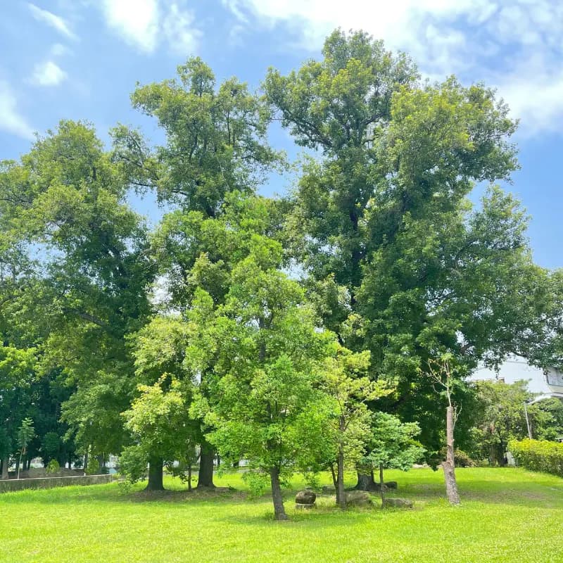 image_20260715213239-1