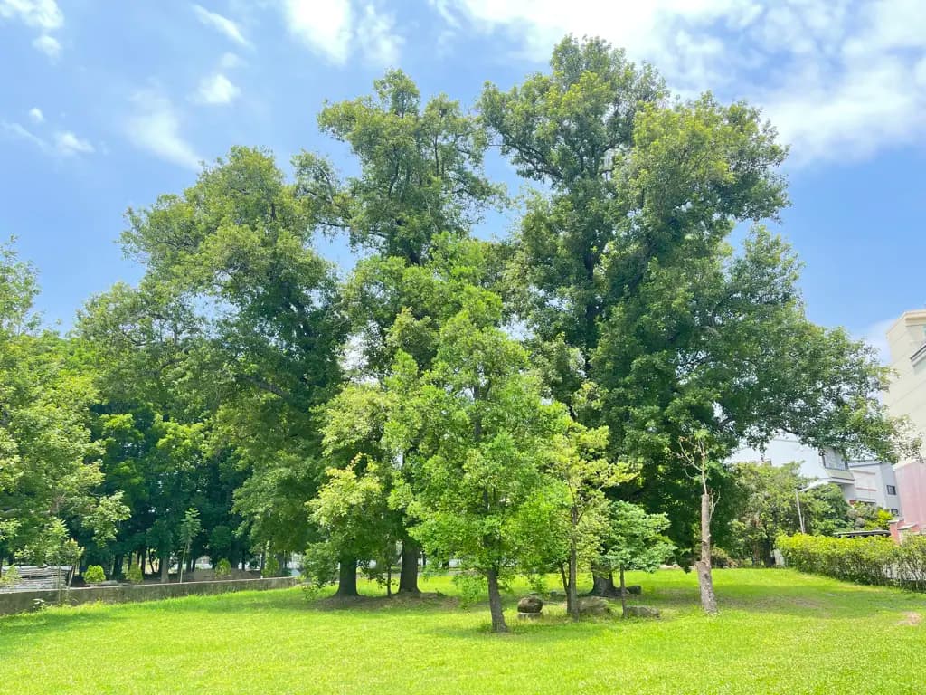 image_20260715213359-1