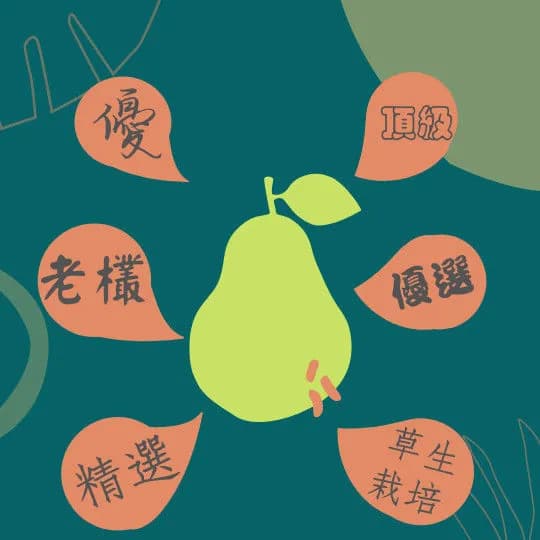 文旦甜度分級是什麼?一次看懂分級方式與挑選重點