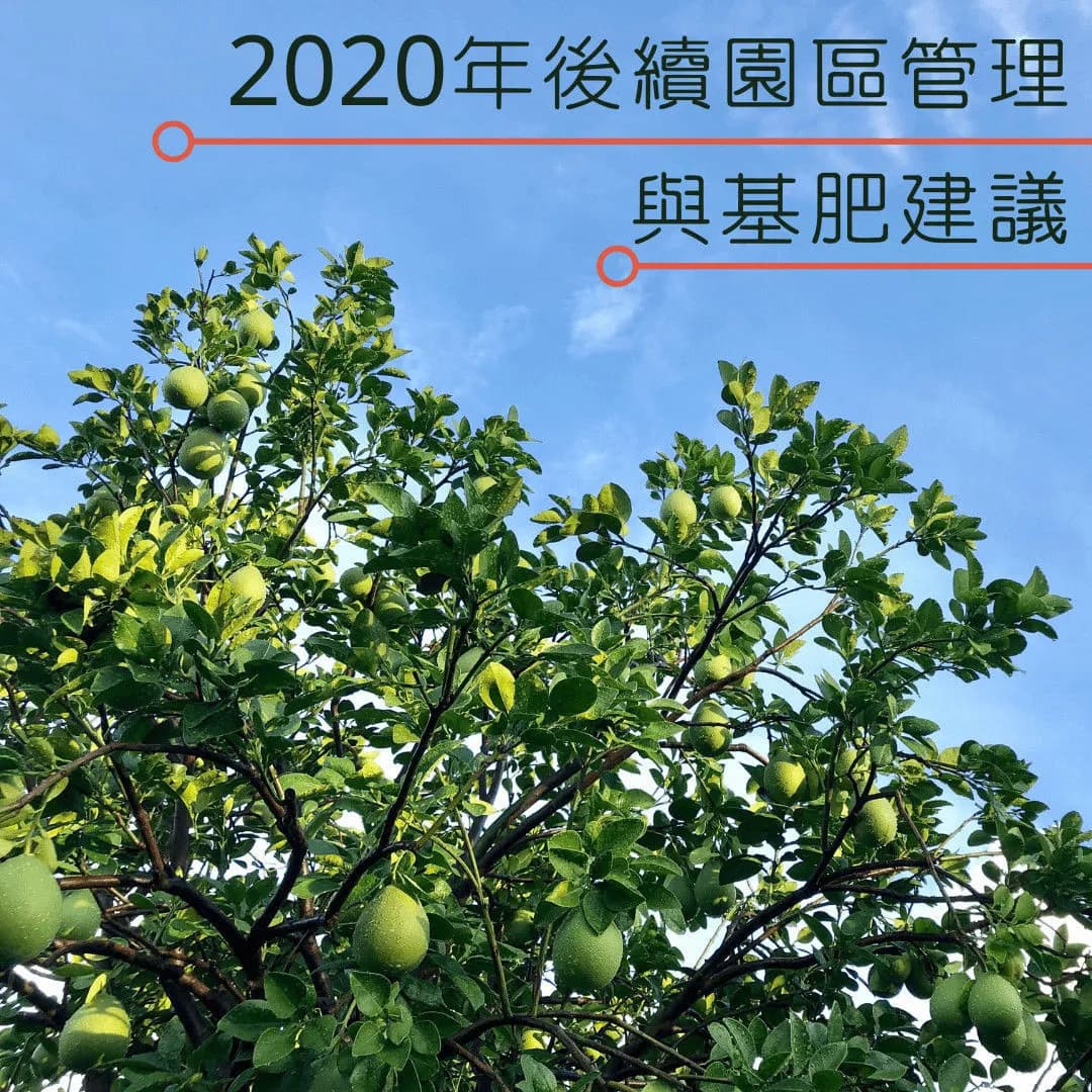 2020年後續園區管理與基肥建議