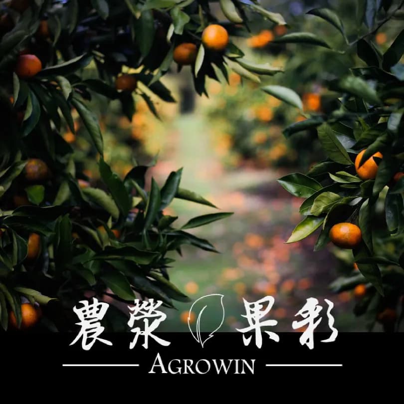 農滎果彩服務項目與業務範圍