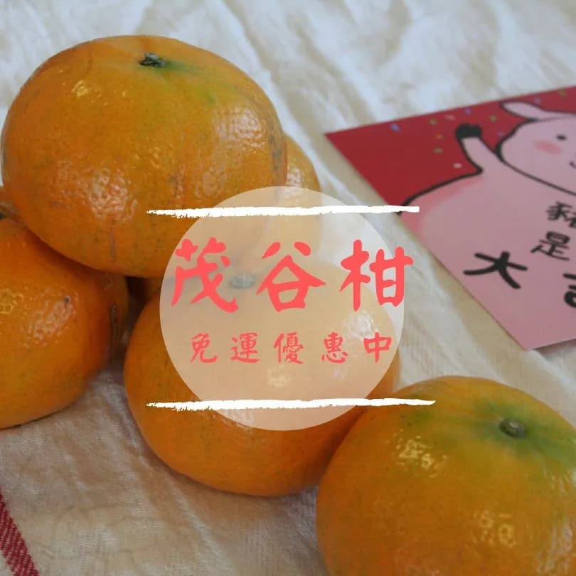 無毒茂谷禮盒,年節送禮最推薦